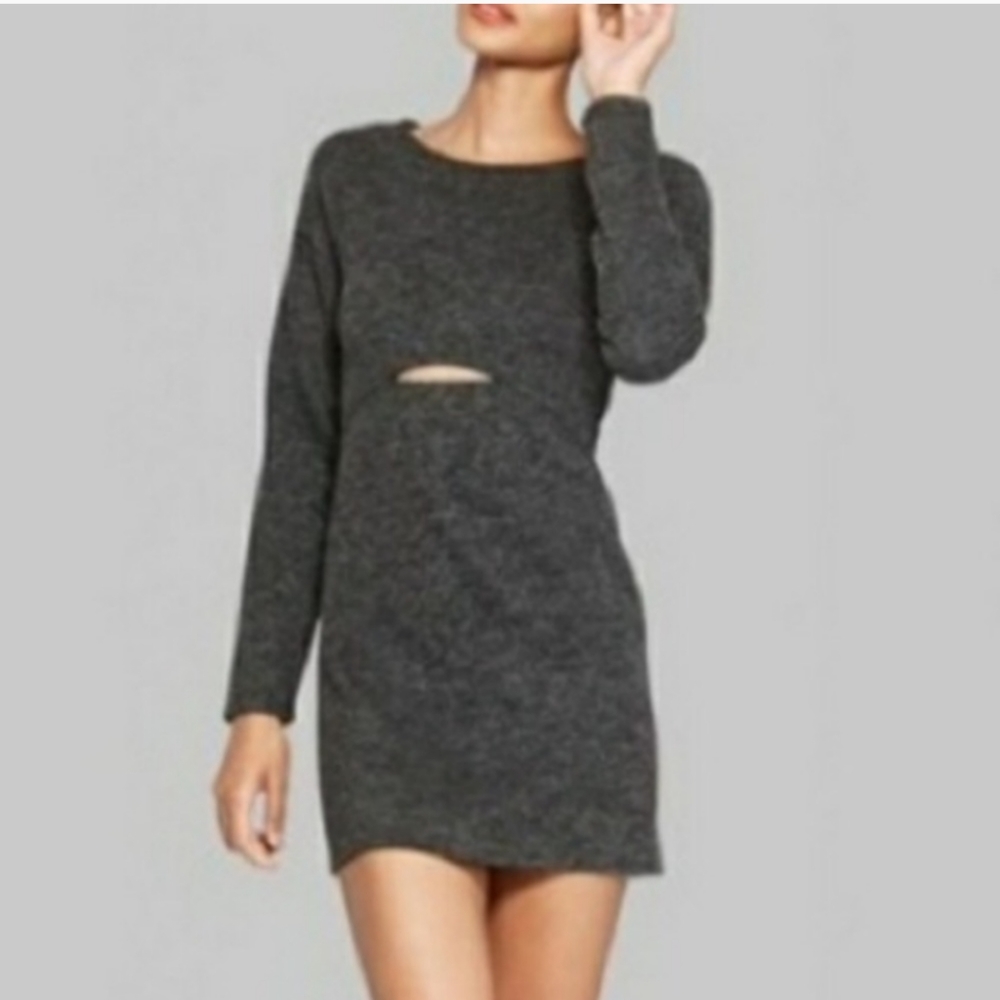 NWT wild fable long sleeve dress